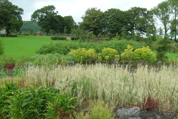 landscaping services clare